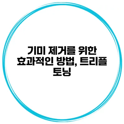 기미 제거를 위한 효과적인 방법, 트리플 토닝