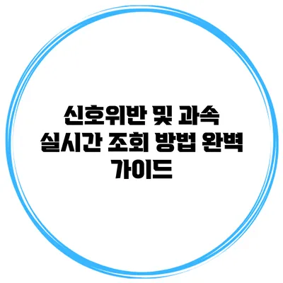 신호위반 및 과속 실시간 조회 방법 완벽 가이드