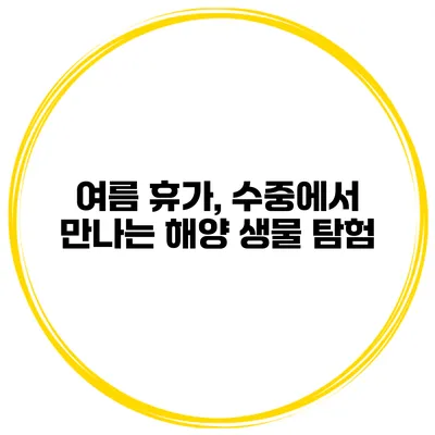 여름 휴가, 수중에서 만나는 해양 생물 탐험