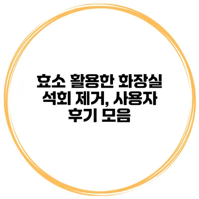 효소 활용한 화장실 석회 제거, 사용자 후기 모음