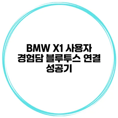 BMW X1 사용자 경험담 블루투스 연결 성공기