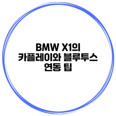 BMW X1의 카플레이와 블루투스 연동 팁