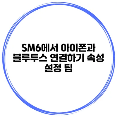 SM6에서 아이폰과 블루투스 연결하기 속성 설정 팁