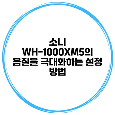소니 WH-1000XM5의 음질을 극대화하는 설정 방법