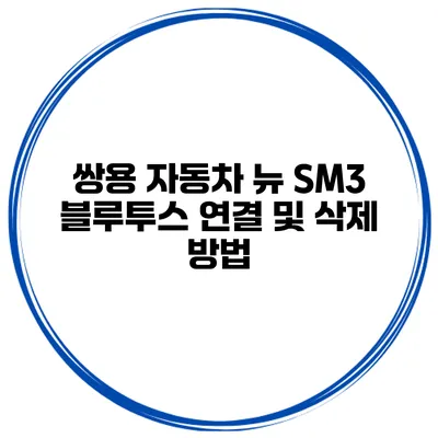 쌍용 자동차 뉴 SM3 블루투스 연결 및 삭제 방법