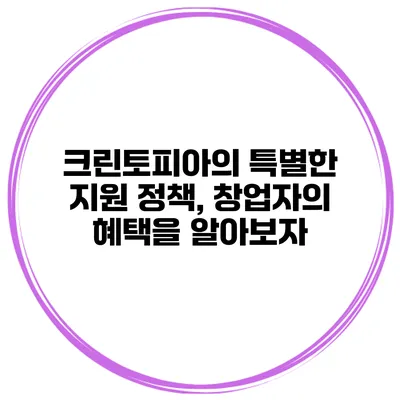 크린토피아의 특별한 지원 정책, 창업자의 혜택을 알아보자